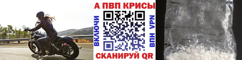 APVP СК  Магадан 