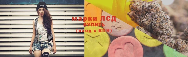 индика Магадан