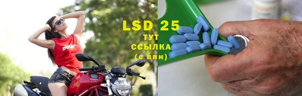 ECSTASY Майский