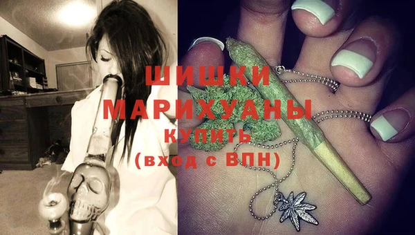 индика Магадан