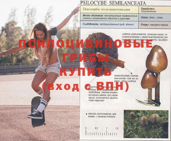 индика Магадан