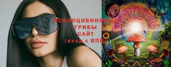 гидропоника Магас