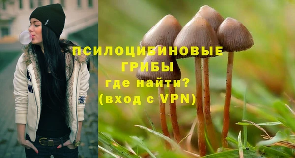 индика Лихославль