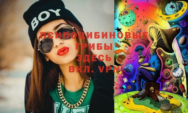 амф Тында
