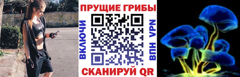 где купить Магадан Псилоцибиновые грибы ЛСД
