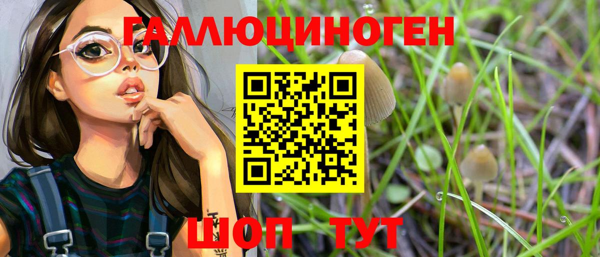 где купить   Псилоцибиновые грибы Psilocybine cubensis  Магадан  Вход с VPN  Псилоцибиновые грибы GOLDEN TEACHER 
