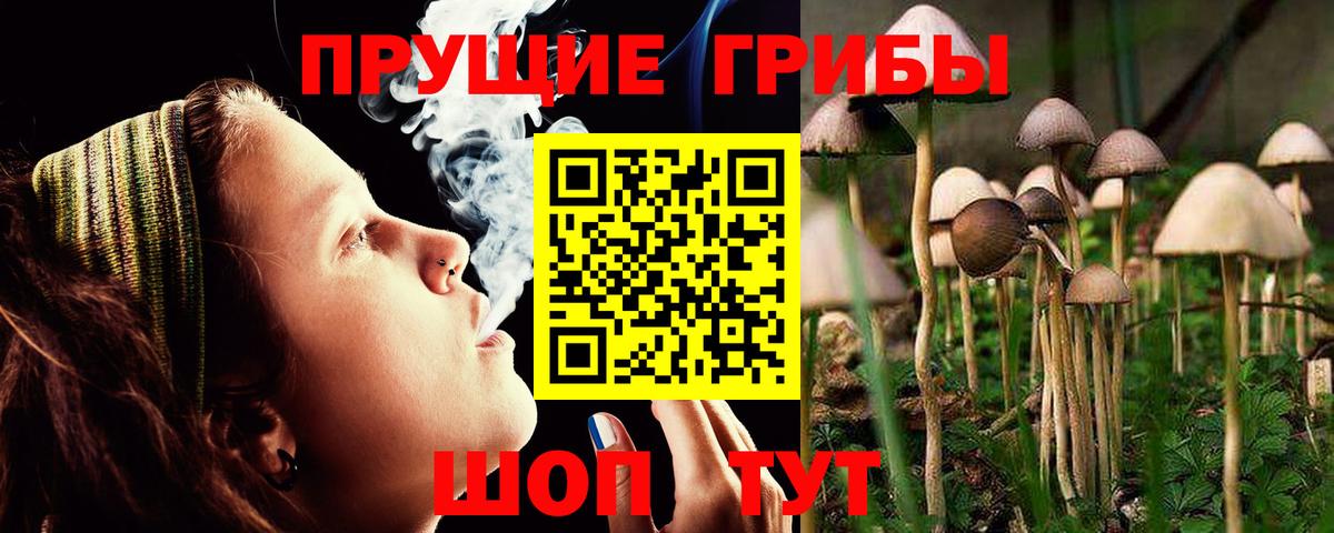 Псилоцибиновые грибы Magic Shrooms  Магадан 